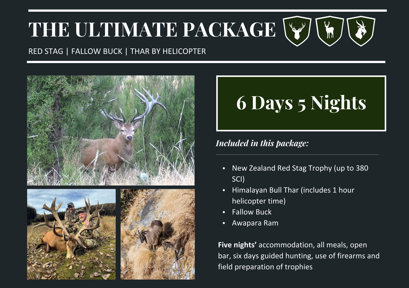 0120662ecb225d8b0b7d09ced02d60cb (1)