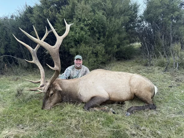 5b3a14398f32c3c57f4a05945b531439