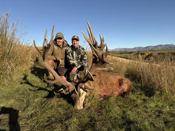 9aee3f53668eb2df0db8269b420a717b