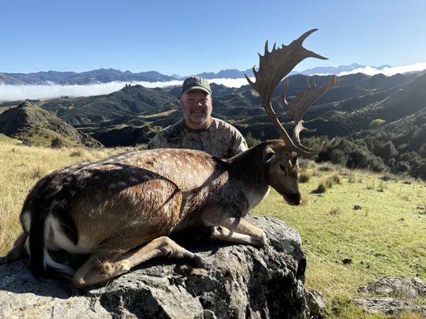 c40d5035248b8cf303457385302eb98f