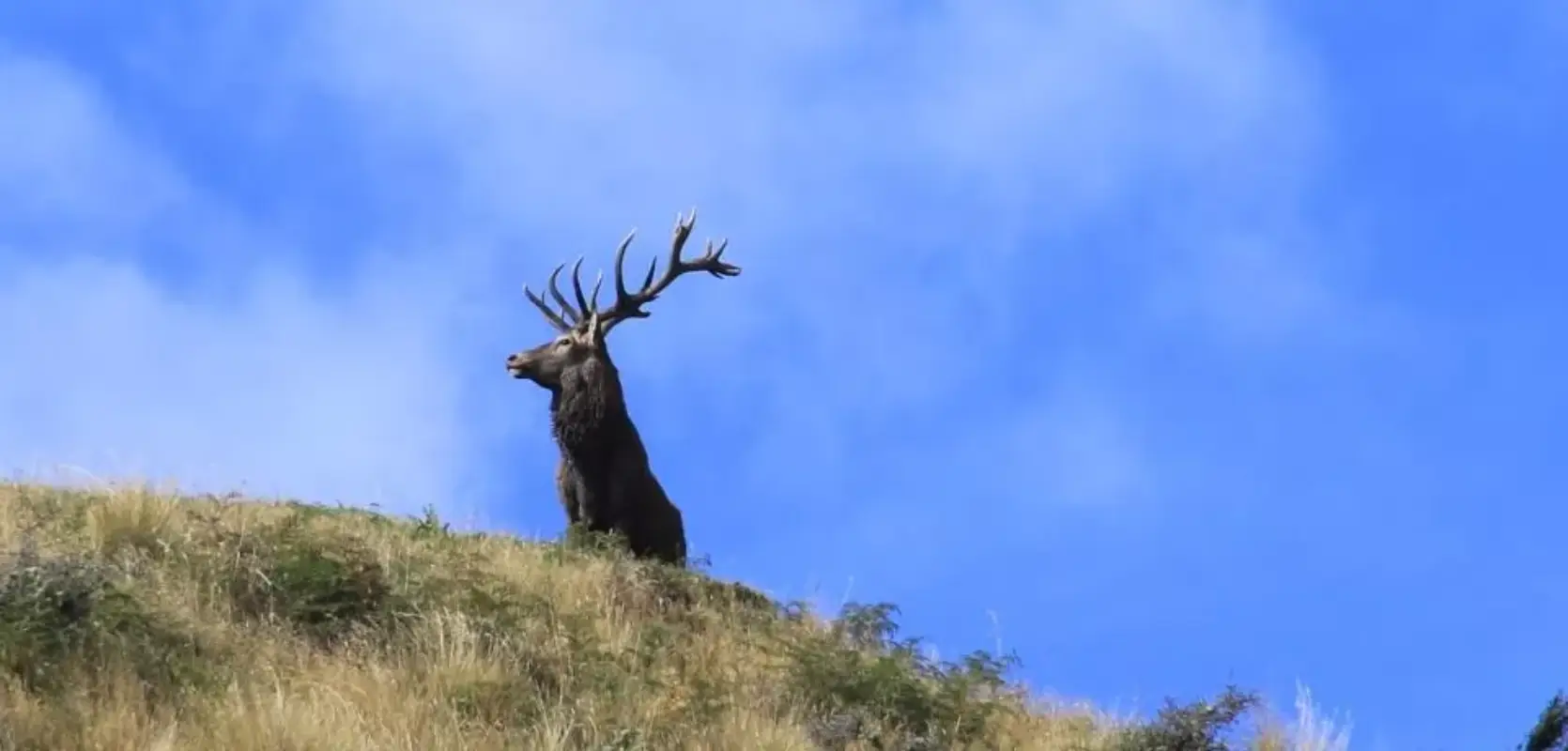 e867a400106f26f2aed0a0a2dfda5334 1